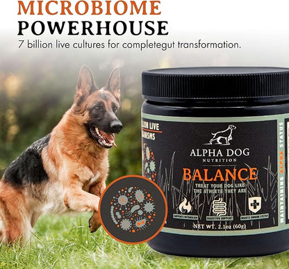 Balance Probiotic Blend for Dogs by Alpha Dog Nutrition