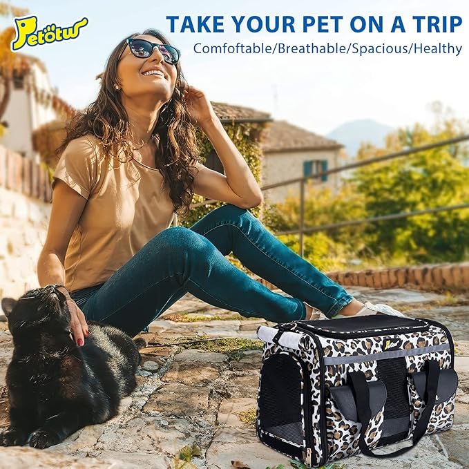 Pet Carrier Cat Carrier for Small Dogs, Dog Carrier, Cat Kennel, Dog Cat Pet Travel Carrier, Soft- Sided Pet Travel Carrier for Cats Dogs, Portable Foldable Pet Bag (Large)