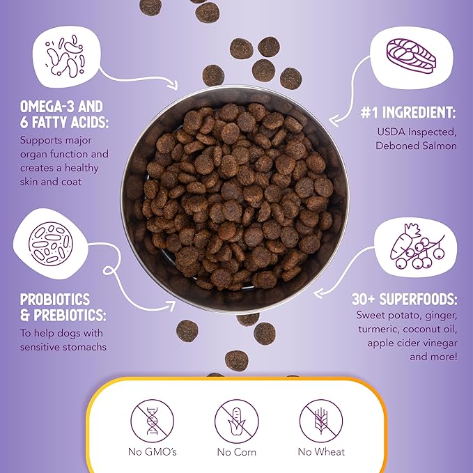Health Extension Dry Dog Food, Natural Food with added Vitamins & Minerals, Suitable for All Puppies, Grain Free, Salmon & Sweet Potato Recipe with Whole Vegetable & Berries (4 Pound)