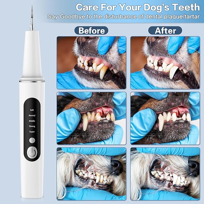 Dog Plaque Remover for Teeth, Dog Tooth Brushing Kit for Tartar, 5 Modes Pet Dog Teeth Cleaning, Dog Pet Puppy Dental Toothbrush Tool, Pet Teeth Cleaning Suitable for Dog/Cat