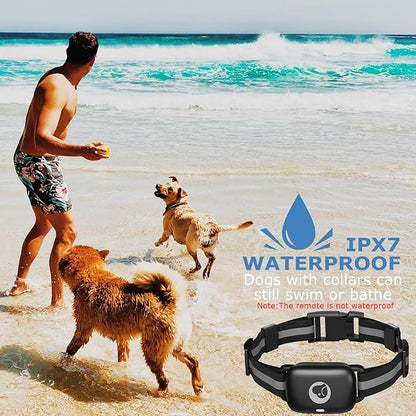 Dog Shock Collar with Remote, 2400ft Electric Dog Training Collars 2 Dogs for Large Medium Small Dogs Waterproof E Shockers Collars, Training with Beep Vibration Safe Shock(1-16) Mode
