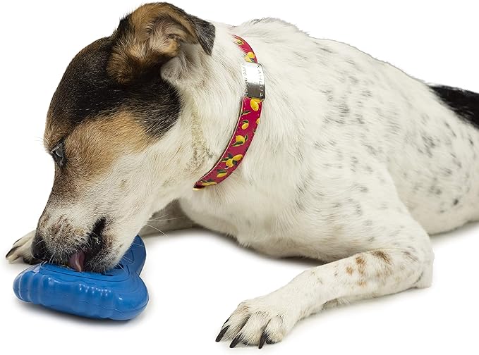PetSafe Chilly Penguin - Freezable Dog Toy for Small Dogs - Fill and Freeze - Frozen Dog Toy to Fill With Treats - French Vanilla Scented - Interactive Pet Puzzle for Boredom/Separation Anxiety, Small