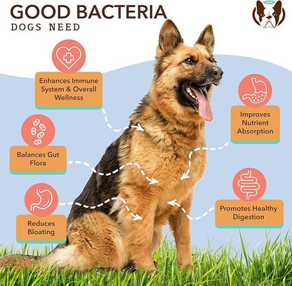 Natural Dog Company Probiotic Chews for Dogs (90 Bites), Chicken Flavor, Helps with Digestion & Gut Health Supports Immune System, Probiotics Supplement for Dogs of All Ages, Sizes & Breeds.