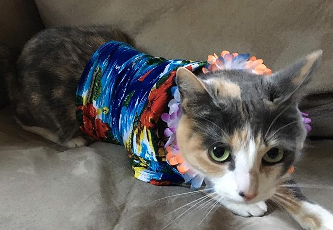 Rubie's Luau Pet Costume, Large, Blue