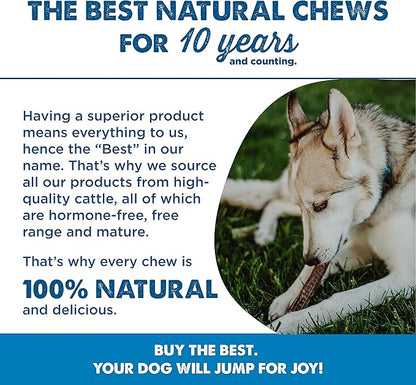 Best Bully Sticks 12 Inch Joint Jerky Gullet Dog Treats (12 Pack) - All-Natural Beef Dog Treats