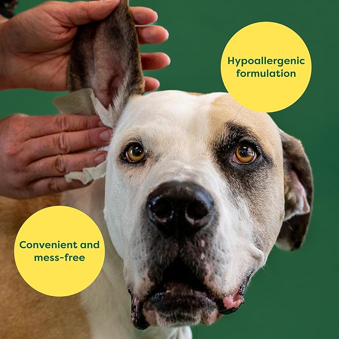 Earth Rated Dog Ear Wipes, Hypoallergenic and Plant Based Ear Wipes for Dogs to Remove Dirt and Wax Build up, Oatmeal Scent, 60 Count