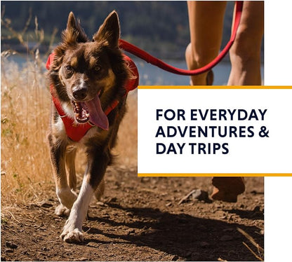 Ruffwear, Switchbak Dog Harness, Pack & Harness Hybrid for Day Trips & Everyday Use, Red Sumac, Large/X-Large