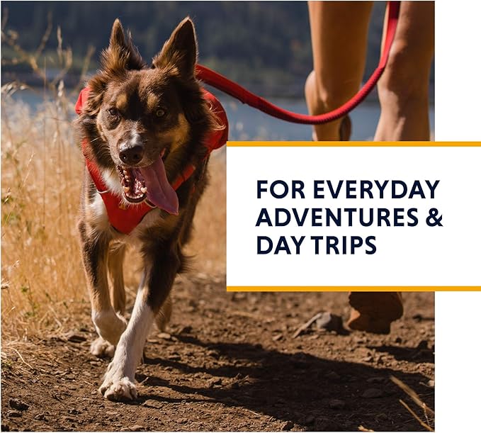 Ruffwear, Switchbak Dog Harness, Pack & Harness Hybrid for Day Trips & Everyday Use, Red Sumac, Medium
