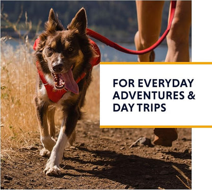 Ruffwear, Switchbak Dog Harness, Pack & Harness Hybrid for Day Trips & Everyday Use, Red Sumac, Medium