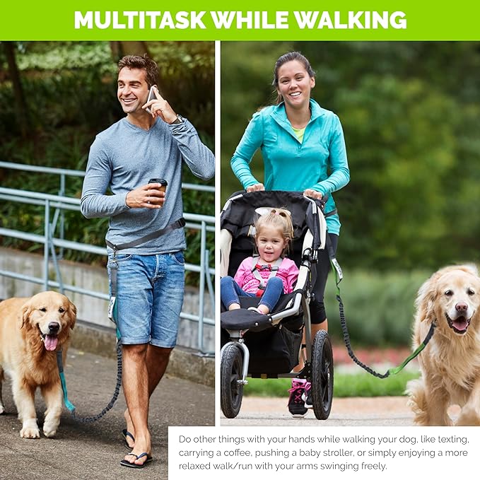 Hands Free Dog Leash For Running That Makes A Great Waist Leash for Dog Walking, Double Handle Bungee Leash with Reflective Stitching and Adjustable Dog Walking Belt