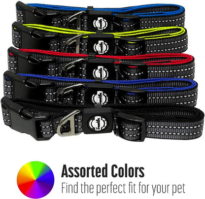 Nylon Dog Collar – Reflective – Franklin Pet Supply Co™ – Comfort Fit – Neoprene – Adjustable – Large – Purple