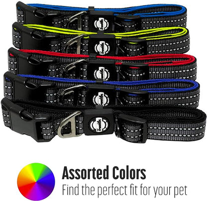 Nylon Dog Collar – Reflective – Franklin Pet Supply Co™ – Comfort Fit – Neoprene – Adjustable – Large – Green