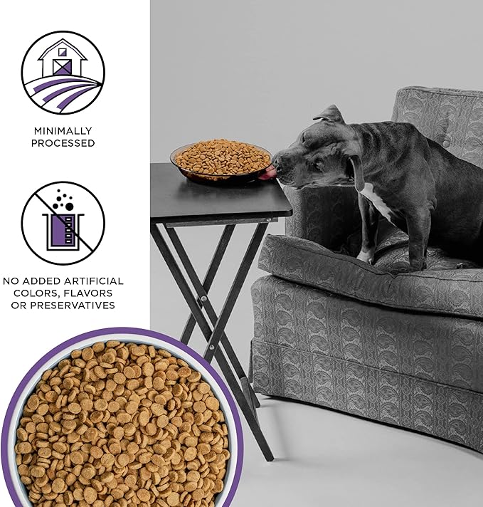 BIXBI Liberty Grain Free Dry Dog Food, Lamb Recipe, 4 lbs - Fresh Meat, No Meat Meal, No Fillers - Gently Steamed & Cooked - No Soy, Corn, Rice or Wheat for Easy Digestion - USA Made