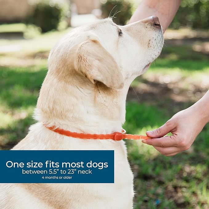Wondercide - Dog Collar - Flea, Tick, Mosquito Repellent for Dogs - with Natural Essential Oils - Pet and Family Safe - 3PK - Up to 12 Months Protection