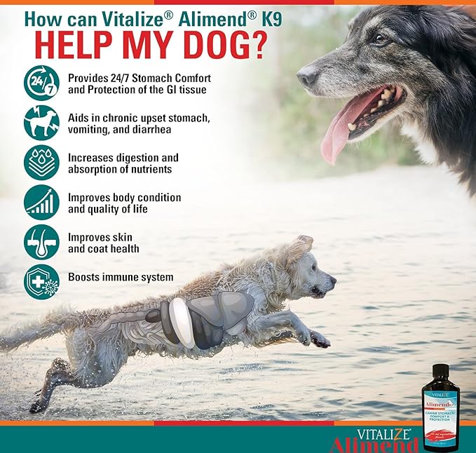 Alimend K9 - Dog Upset Stomach Relief for Nausea, Vomiting & Diarrhea - 6 Oz