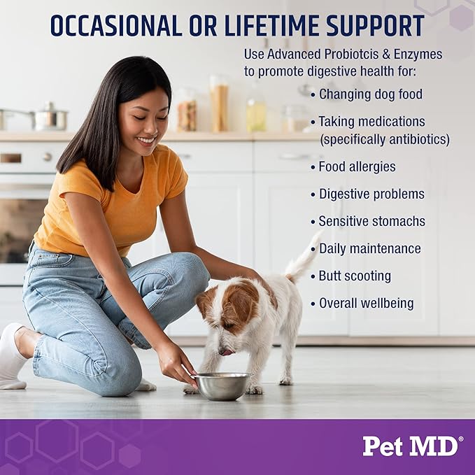 Pet MD Probiotics & Enzymes for Dogs - Gut Health Chews with Prebiotics - Digestive Aid for Dogs with Upset Stomach, Diarrhea, Constipation, or Gas - Functional Probiotics for Dogs - 60 ct