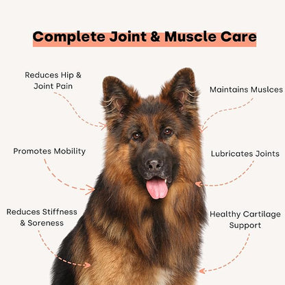 Activity & Recovery Dog Joint Chews. Glucosamine for Dogs & Omega 3. Dog Hip & Joint Supplement Made without Heat. Trout Flavor.