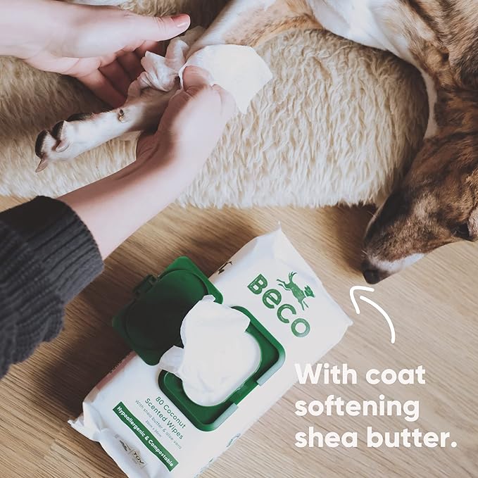 Beco Bamboo Dog Wipes, Thick Grooming Wipes For Easy Pet Cleanup, Home Compostable, 80 Count (Coconut)
