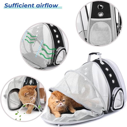Lollimeow Bubble Expandable Cat Backpack Pet Travel Carrier for Cats and Dogs (Black-Expandable)
