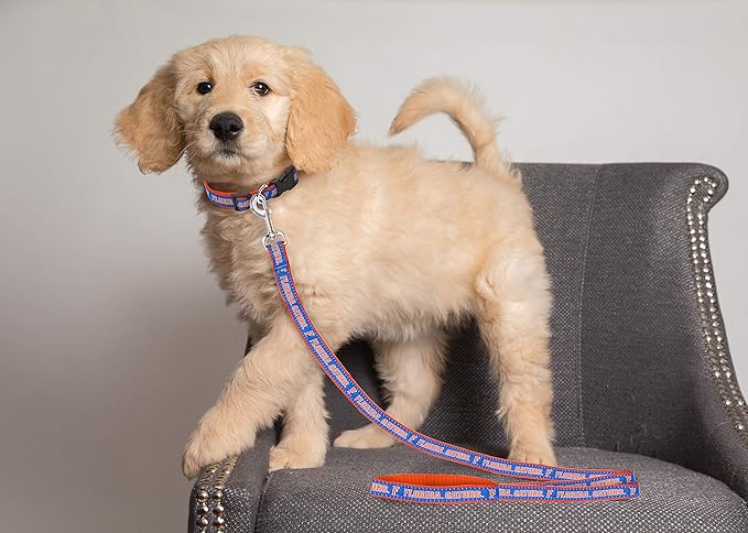 Pets First Collegiate Pet Accessories, Dog Leash, Florida Gators, Large