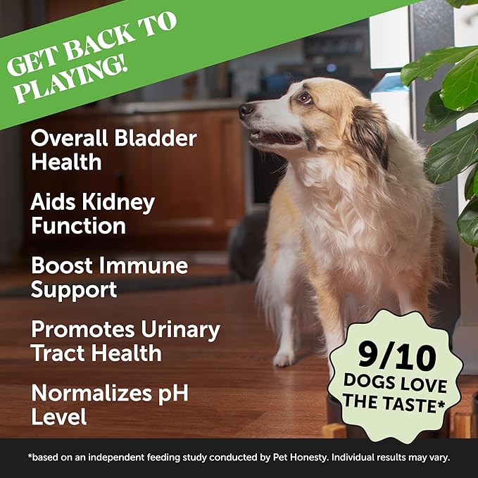 Pet Honesty Bladder Health Cranberry Supplement for Dogs – Kidney Support for Dogs, Dog UTI - Cranberry & D-Mannose to Help Support Dog Urinary Tract Health, Dog Urine & Dog Bladder Support (Chicken)