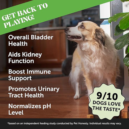 Pet Honesty Bladder Health Cranberry Supplement for Dogs – Kidney Support for Dogs, Dog UTI - Cranberry & D-Mannose to Help Support Dog Urinary Tract Health, Dog Urine & Dog Bladder Support (Chicken)