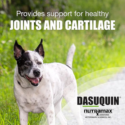Nutramax Laboratories Dasuquin Joint Health Supplement for Large Dogs - With Glucosamine, Chondroitin, ASU, Boswellia Serrata Extract, and Green Tea Extract, 84 Chewable Tablets