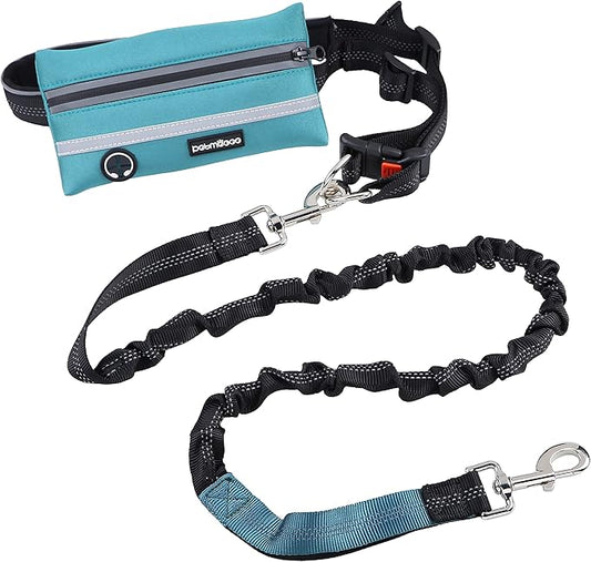 Hands Free Dog Leash with Zipper Pouch, for Medium and Large Dogs, 4Ft 6 Ft, Waist Leash for Dog, Durable Bungee for Walking, Jogging, and Running Your Dog (Large, 25-120 lbs, Blue)