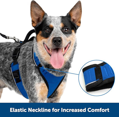 PetSafe EasySport Dog Harness – Adjustable, Padded Dog Harness with Control Handle and Reflective Piping – Small, Black