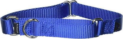 PetSafe Martingale Collar, 3/4" Medium, Royal Blue