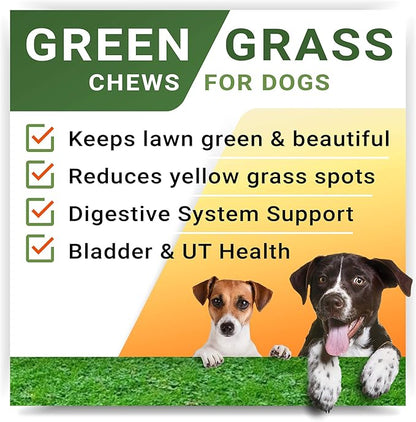 StrellaLab Grass Restore Treats for Dogs - Dog Pee Lawn Repair Chew Probiotics + Digestive Enzymes, Cranberry - Dog Urine Neutralizer for Grass Burn Spots - Health & Wellness Supplements for Dog