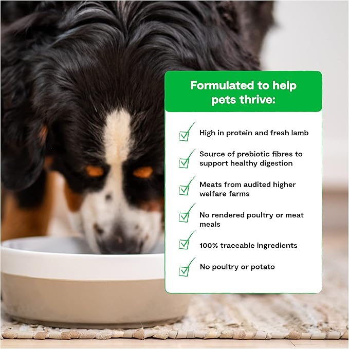 Open Farm Pasture-Raised Lamb Grain-Free Dry Dog Food, New Zealand Lamb Recipe with Non-GMO Superfoods and No Artificial Flavors or Preservatives, 22 lbs