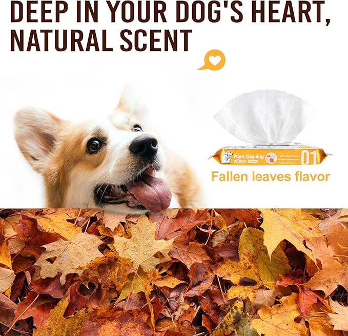 Dog Wipes for Paws and Butt,Pet Wipes for Dogs Hypoallergenic Plant-Based,Dog Cleaning Grooming Wipes,Large Size Dog Wet Bath Wipes,Gentle,Degradable,More Water(50 Count,Fallen Leaves)