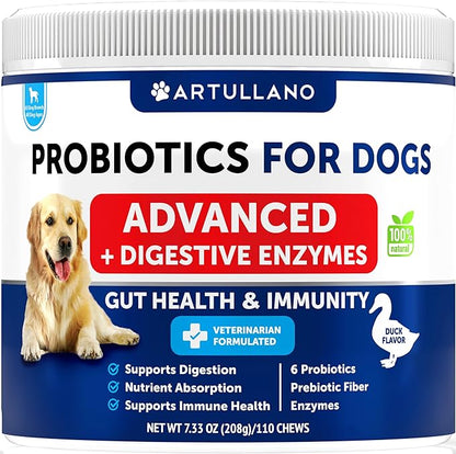 Probiotics for Dogs - Digestive Enzymes - All Breeds & Ages