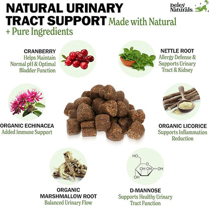 Deley Naturals Dog UTI Prevention - 120 Grain Free Soft Chews - Incontinence, Bladder, Kidney & Immune System Support - Cranberry Pills - D-Mannose & Echinacea - Made in USA - Natural Chicken Flavor
