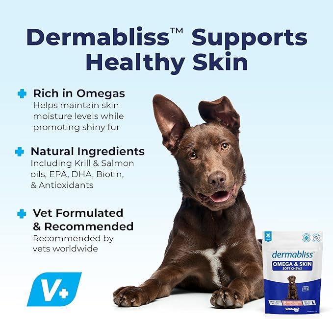Vetnique Dermabliss Omega & Skin Health Fish Oil for Dogs Soft Chews Healthy Skin & Coat for Dogs with Biotin & DHA - Hickory Salmon Dog Treats (30ct Chews)