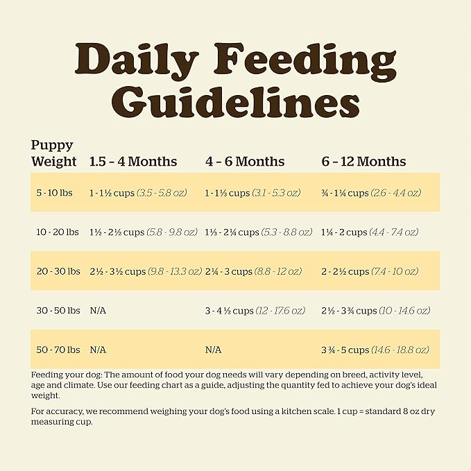 Now Fresh Grain Free Puppy Food, 3.5 lb - Dry Dog Food Recipe for Puppies - Real Meat and Fish for Protein - Healthy Diet for Small, Medium and Large Breed Dogs