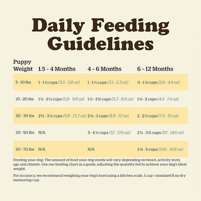 Now Fresh Grain Free Puppy Food, 3.5 lb - Dry Dog Food Recipe for Puppies - Real Meat and Fish for Protein - Healthy Diet for Small, Medium and Large Breed Dogs