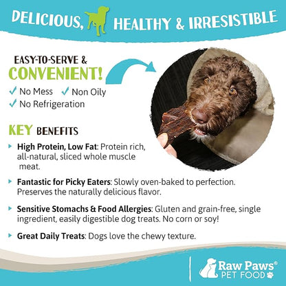 Raw Paws Water Buffalo Jerky Treats for Dogs, 16-oz - Packed in USA - Free-Range Pure Buffalo Meat - Beef Jerky for Dogs Alternative - Jerky Treats for Dogs - Jerky Sticks for Dogs, Dog Beef Jerky
