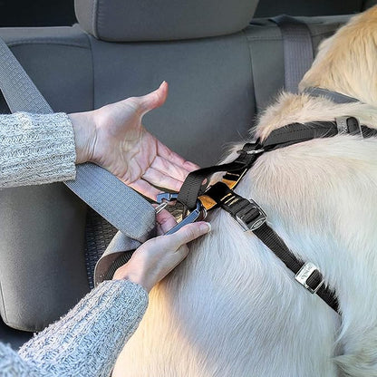 Kurgo Tru-Fit Enhanced Strength Dog Harness - Certified Crash Tested Car Safety Harness for Dogs - Metal Buckles, Padded Chest - includes Pet Seatbelt - No Pull Training - Black, XL