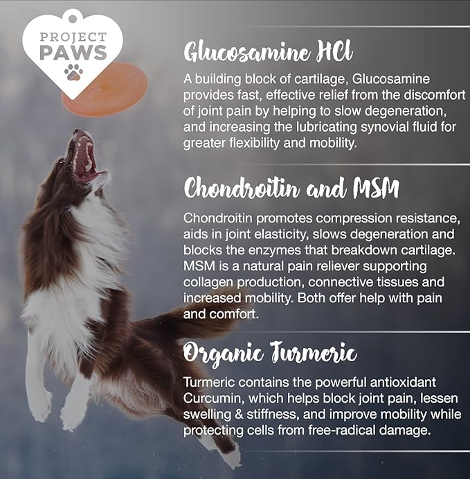 Project Paws Hip and Joint Supplement for Dogs - Dog Glucosamine Chews with MSM, Chondroitin and Organic Turmeric - 120 CT