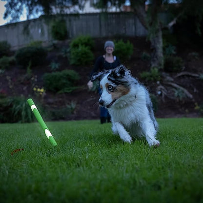 Chuckit! Max Glow Ultra Fetch Stick Outdoor Dog Toy, 12 Inches, for All Breed Sizes