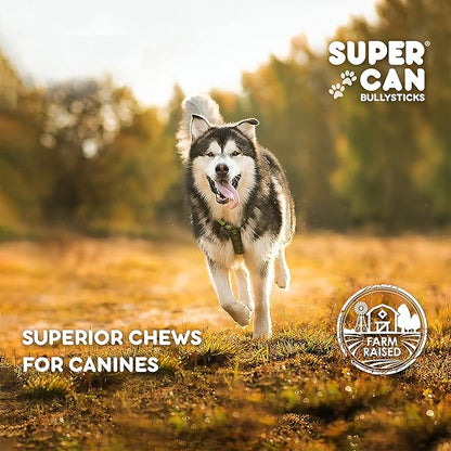 SUPER CAN BULLYSTICKS Beef Gullet Sticks for Dogs 12" (4 count) | Natural Beef Sticks Jerky Chews for Puppies & Small Dogs | Glucosamine Rich Dog Treats for Healthy Joints | Softer Than Bully Sticks