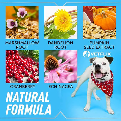 Cranberry Dog & Cat UTI Treatment - Best UTI for Pets - Made in USA - Dog & Cat Kidney Support - Cat Bladder Drops - Pet Immune Health Supplement - Marshmallow, Dandelion Root, Pumpkin Seed