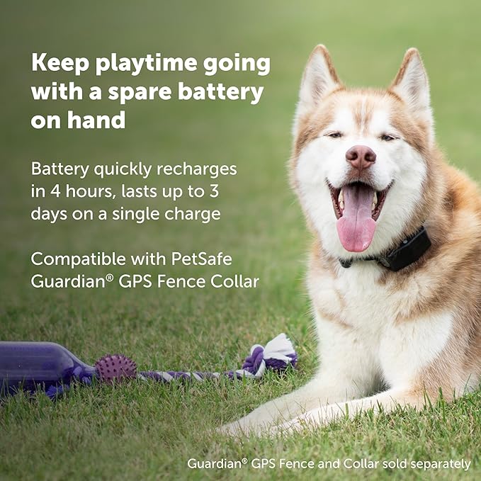 PetSafe Guardian GPS Fence Collar Battery - Extra or Replacement Lithium-Ion Battery - Up to 3 Days Battery Life - Compatible with Guardian GPS Collars Only