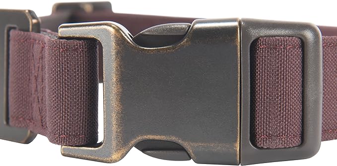 Carhartt Nylon Duck Dog Collar, Fully Adjustable Durable 2-Ply Cordura Nylon Canvas Collars for Dogs, Deep Wine, Large