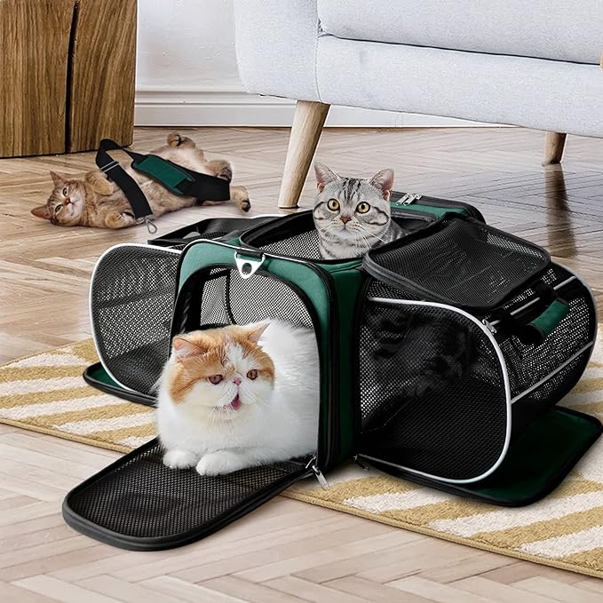 Cat Carrier, Pet Carrier Airline Approved, 2 Sides Expandable Dog Carrier, Soft-Sided Collapsible Dog Travel Bag with Removable Fleece Pad for Cats, Puppy and Small Animals (Green)