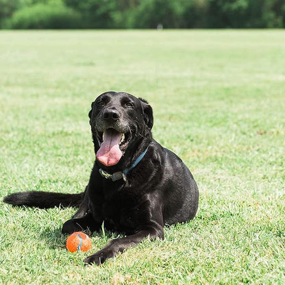 Chuckit Dog Tennis Ball Dog Toy, Large (3 Inch Diameter) for dogs 60-100lbs, Pack of 1