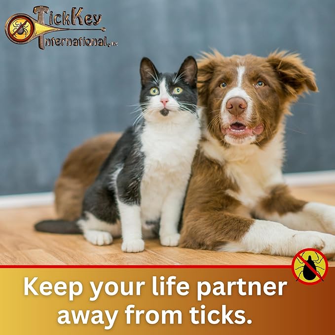 The Original Tick Key -Tick Removal Device - Portable, Safe and Highly Effective Tick Removal Tool - 3 Pack (USA)