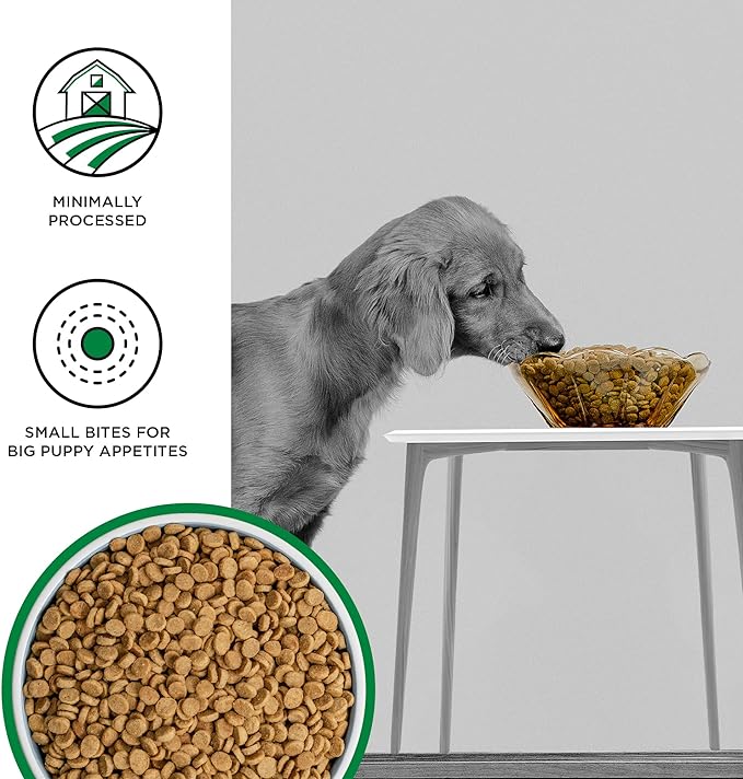 BIXBI Liberty Grain Free Dry Dog Food, Original Recipe Puppy, 4 lbs - Fresh Meat, No Meat Meal, No Fillers - Gently Steamed & Cooked - No Soy, Corn, Rice or Wheat for Easy Digestion - USA Made